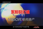 维邦地产集团专题片